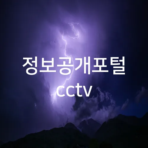 정보공개포털 cctv