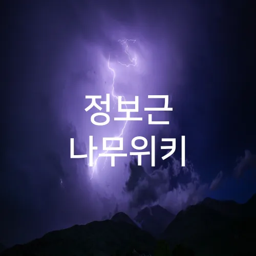 정보근 나무위키