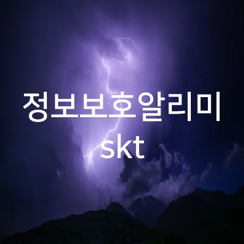 정보보호알리미 skt