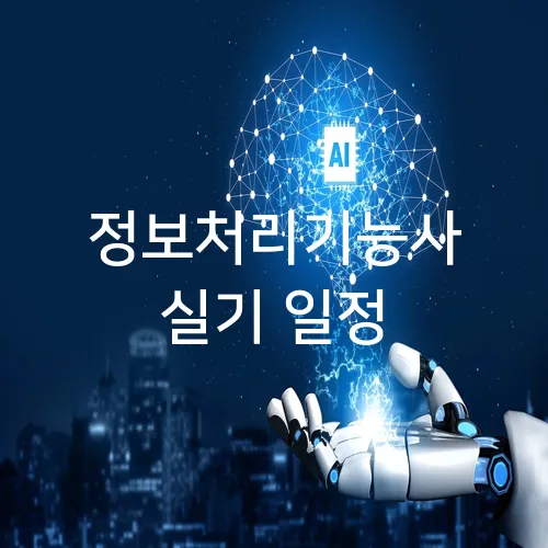 정보처리기능사 실기 일정