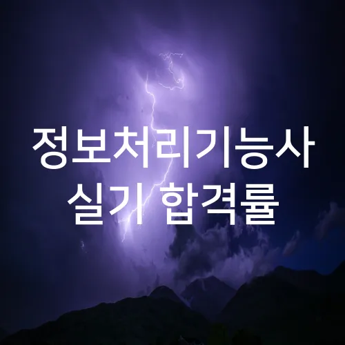 정보처리기능사 실기 합격률
