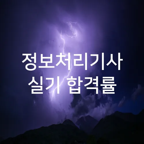 정보처리기사 실기 합격률
