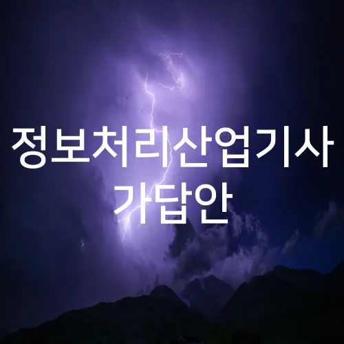 정보처리산업기사 가답안