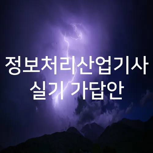 정보처리산업기사 실기 가답안