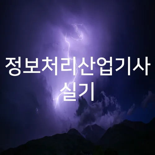 정보처리산업기사 실기