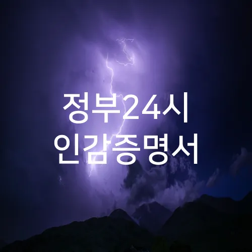 정부24시 인감증명서