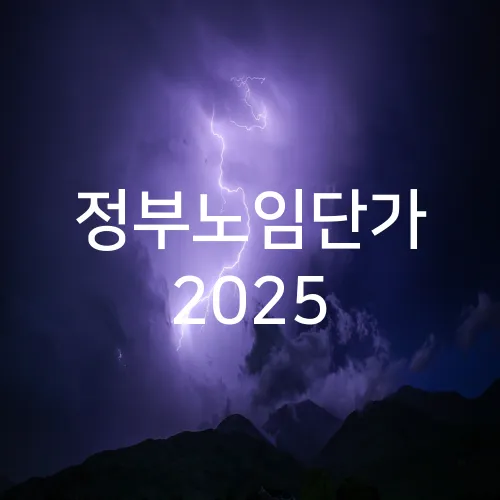 정부노임단가 2025