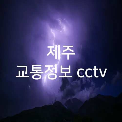 제주 교통정보 cctv