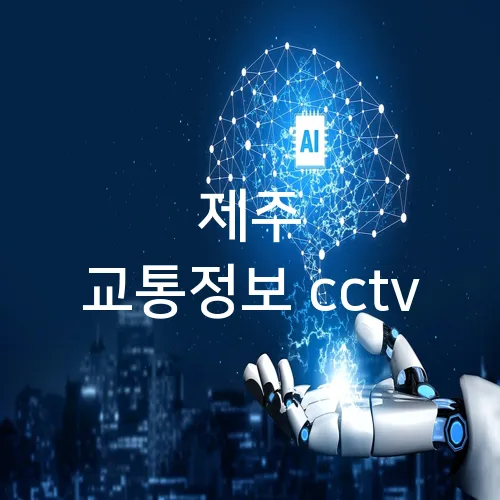 제주 교통정보 cctv