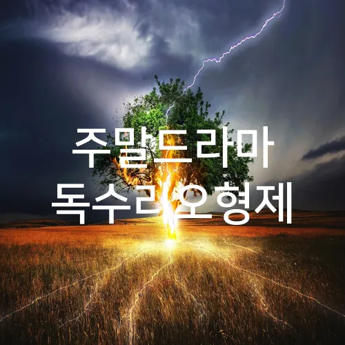 주말드라마 독수리오형제