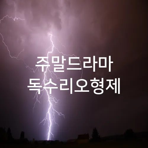 주말드라마 독수리오형제