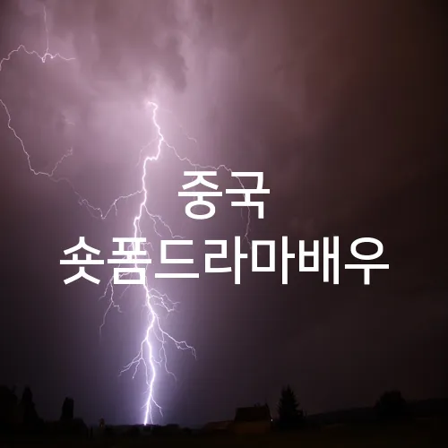 중국 숏폼드라마배우