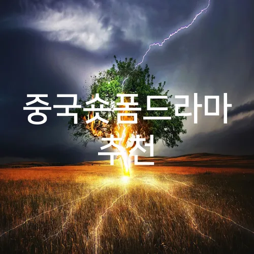 중국숏폼드라마 추천