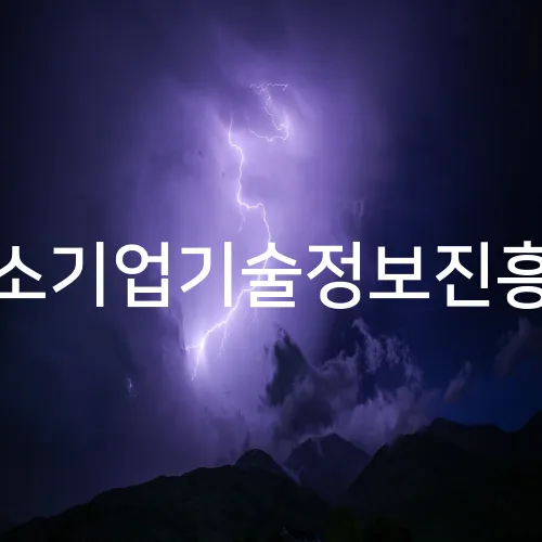 중소기업기술정보진흥원