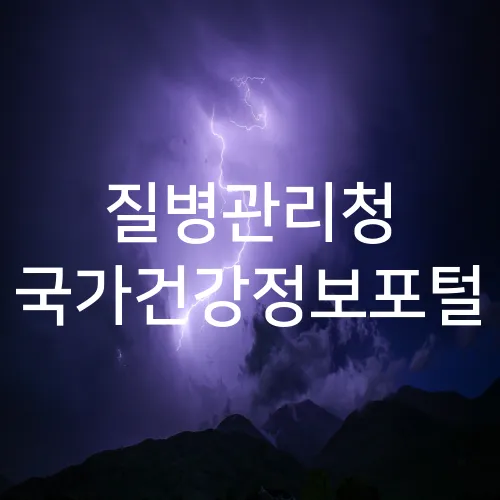 질병관리청 국가건강정보포털