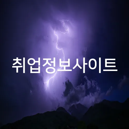 취업정보사이트