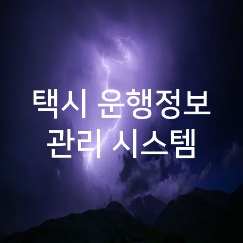 택시 운행정보 관리 시스템