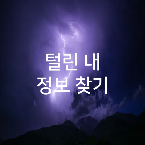 털린 내 정보 찾기