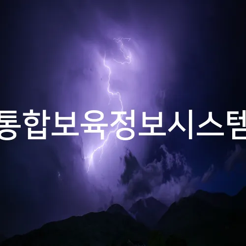 통합보육정보시스템