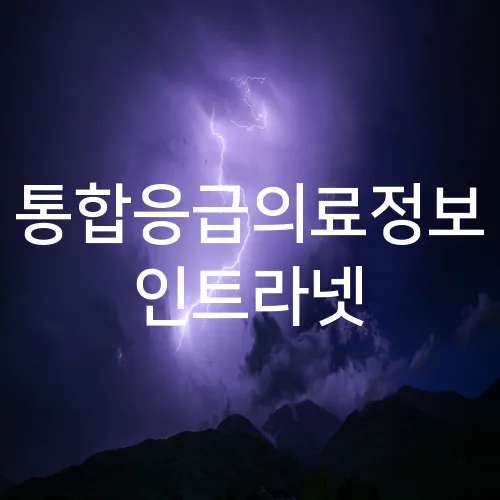 통합응급의료정보 인트라넷