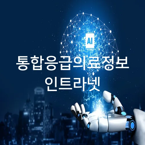 통합응급의료정보 인트라넷