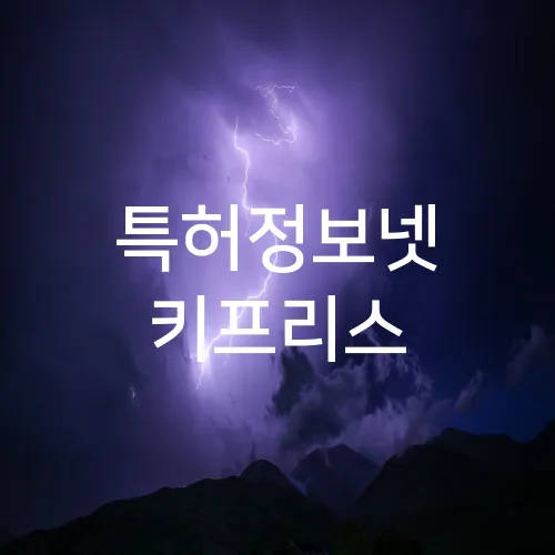 특허정보넷 키프리스