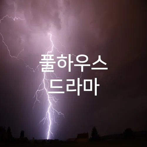 풀하우스 드라마