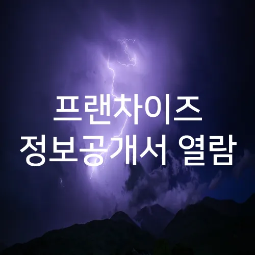 프랜차이즈 정보공개서 열람