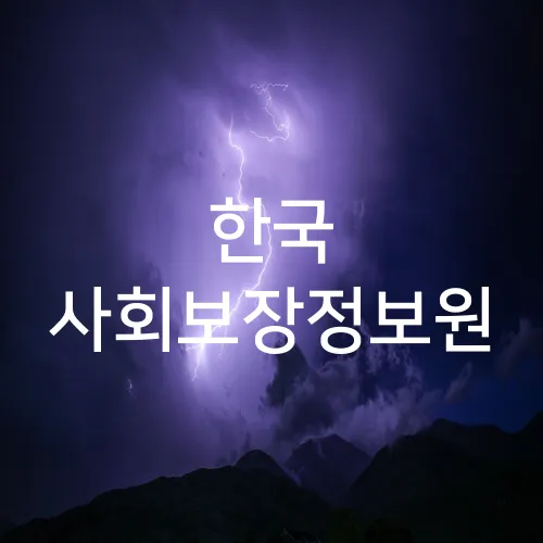 한국 사회보장정보원