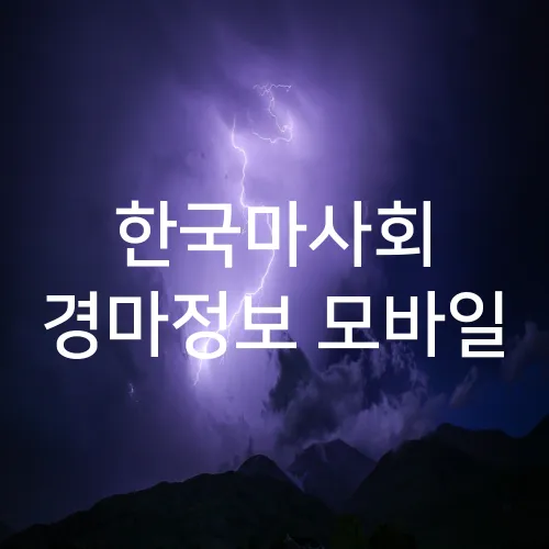 한국마사회 경마정보 모바일