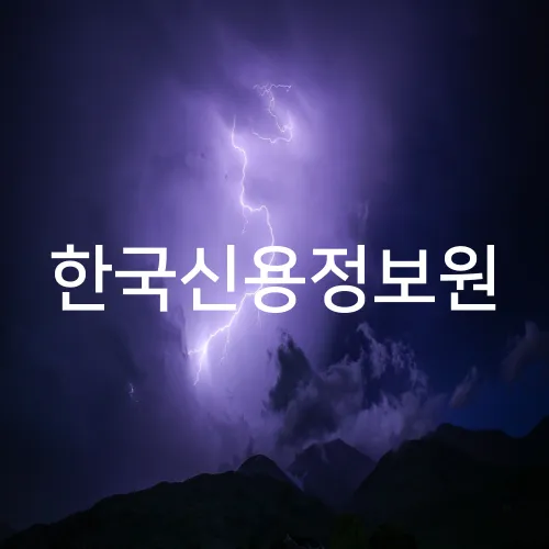 한국신용정보원