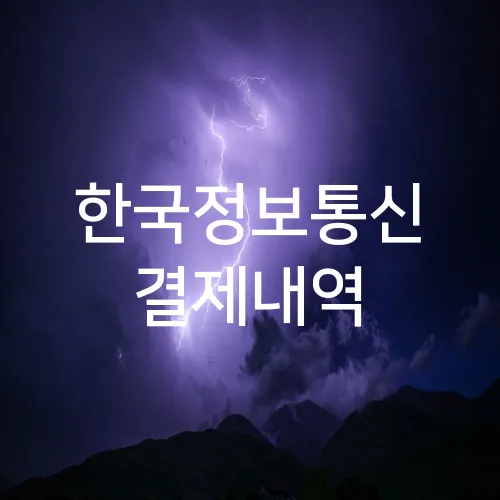 한국정보통신 결제내역