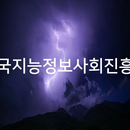 한국지능정보사회진흥원