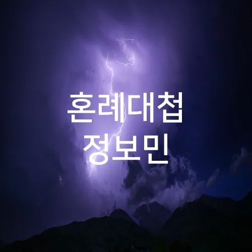 혼례대첩 정보민