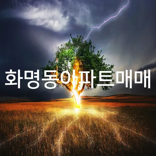 화명동아파트매매