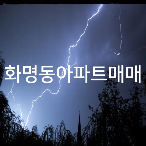 화명동아파트매매