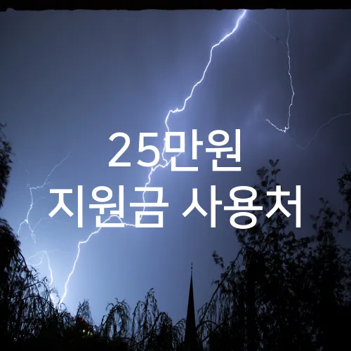 25만원 지원금 사용처