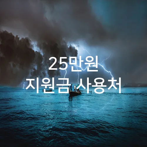 25만원 지원금 사용처