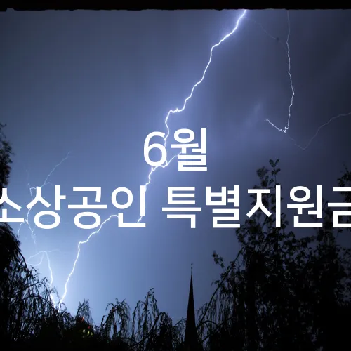 6월 소상공인 특별지원금