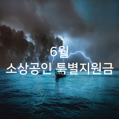 6월 소상공인 특별지원금