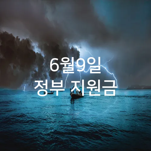 6월9일 정부 지원금