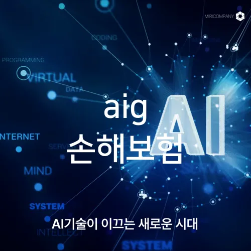 aig 손해보험