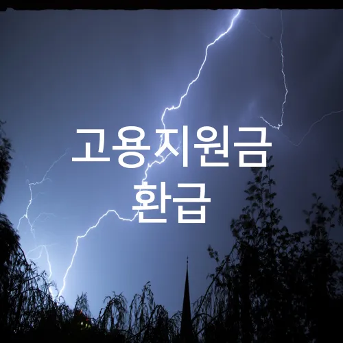 고용지원금 환급