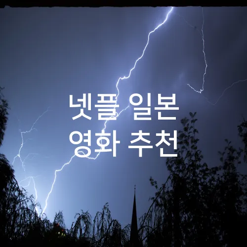 넷플 일본 영화 추천