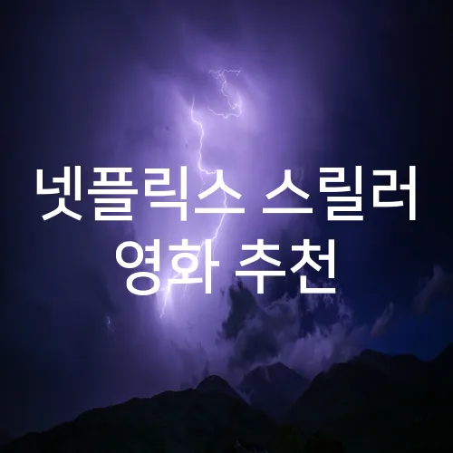 넷플릭스 스릴러 영화 추천