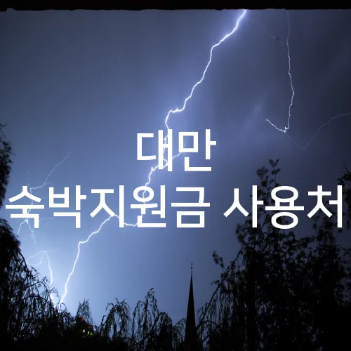 대만 숙박지원금 사용처