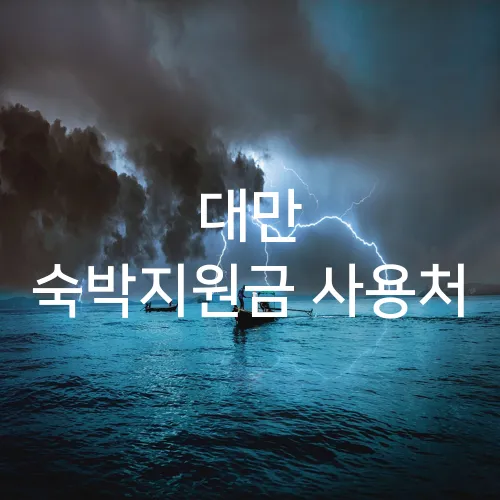 대만 숙박지원금 사용처