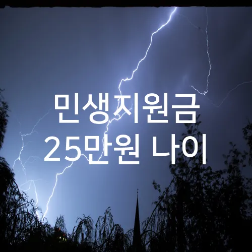 민생지원금 25만원 나이