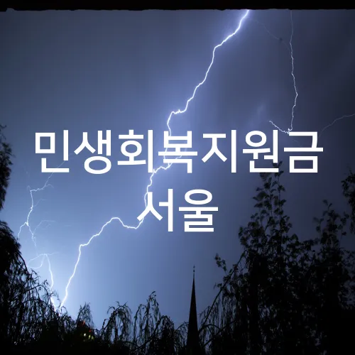 민생회복지원금 서울