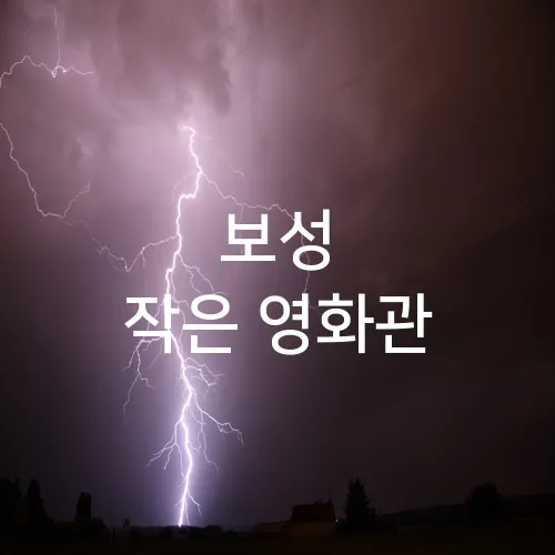 보성 작은 영화관